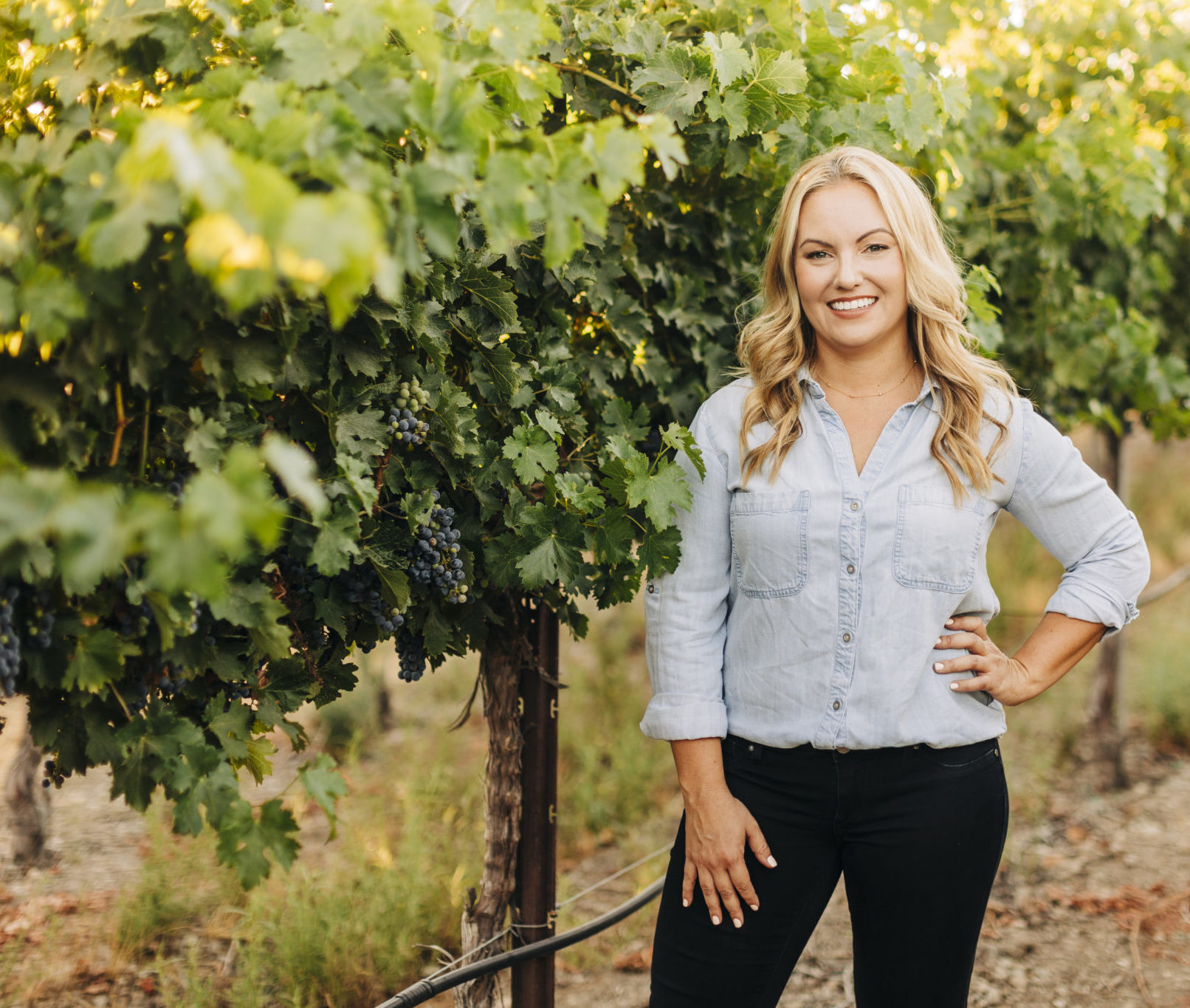 Winemaker Jamie Benziger: Making her mark - Imagery Estate Winery